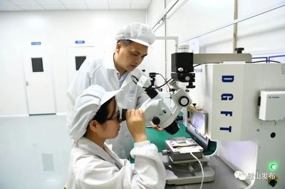 【科創(chuàng)賦能 領(lǐng)跑發(fā)展】搭建科技創(chuàng)新平臺(tái) 厚植創(chuàng)新創(chuàng)業(yè)沃土